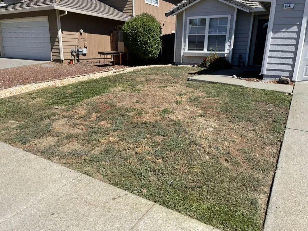 Expert yard cleanup service in Antioch, CA by Edwards Hauling And Landscaping