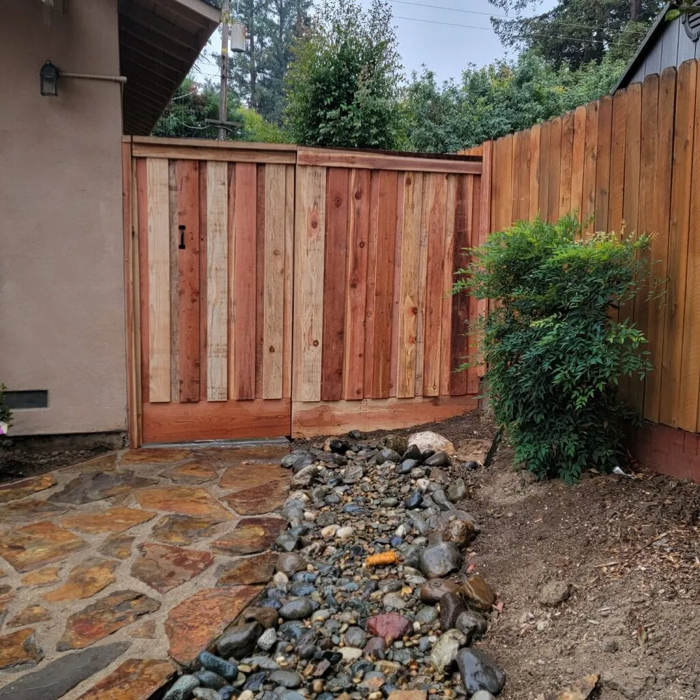 Expert yard cleanup service in Sacramento, CA by Edwards Landscape Management