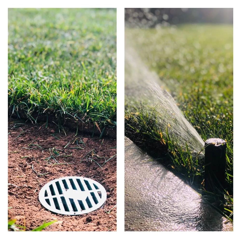 Top-rated outdoor landscaping for residential properties across Sacramento, CA - Edwards Landscape Management