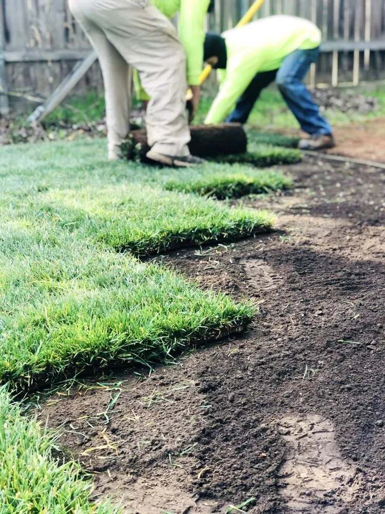 Top-rated yard cleanup service in Sacramento, CA - Edwards Landscape Management