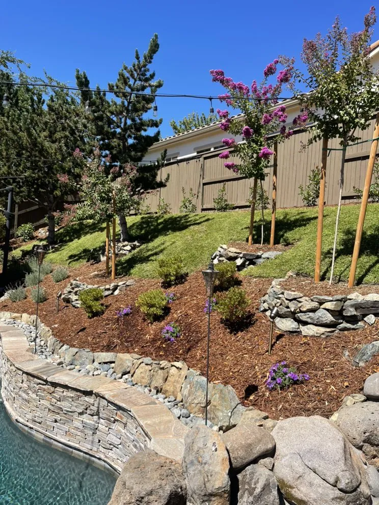 Custom outdoor landscaping in Sacramento, CA by Edwards Landscape Management