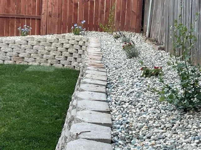 Local yard maintenance for year-round maintenance in Sacramento, CA by Edwards Landscape Management