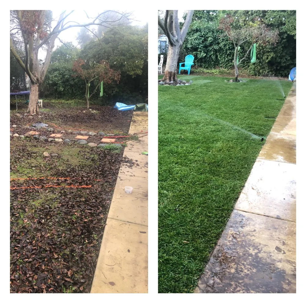 Trusted yard maintenance for residential properties across Sacramento, CA - Edwards Landscape Management