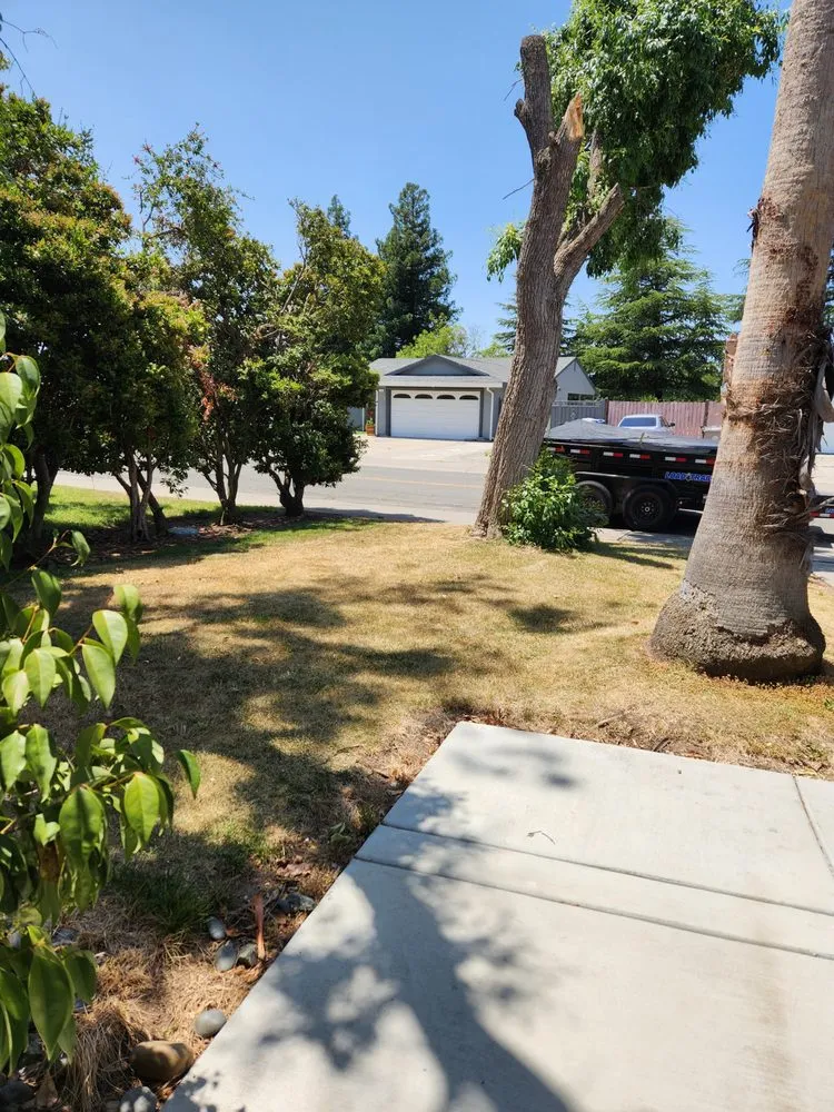 Professional residential landscaping near you across Sacramento, CA - Edwards Landscape Management