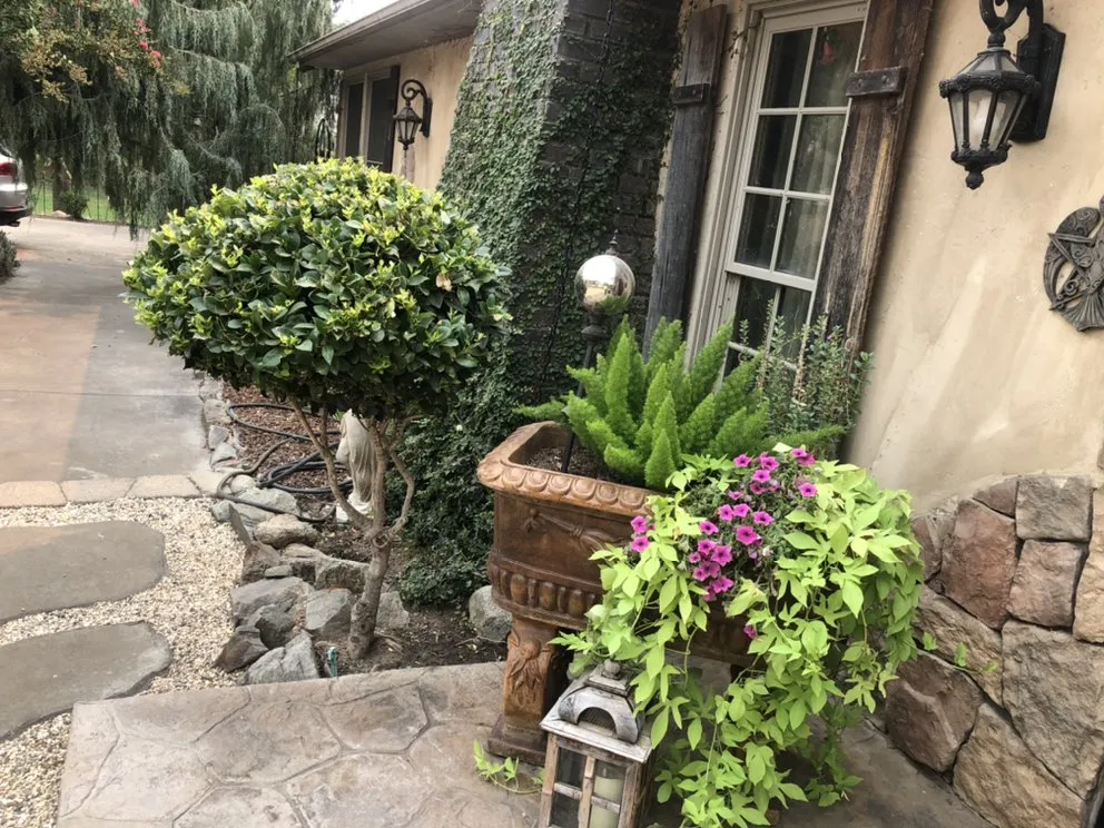 Trusted yard maintenance for outdoor upgrades across Sacramento, CA - Edwards Landscape Management