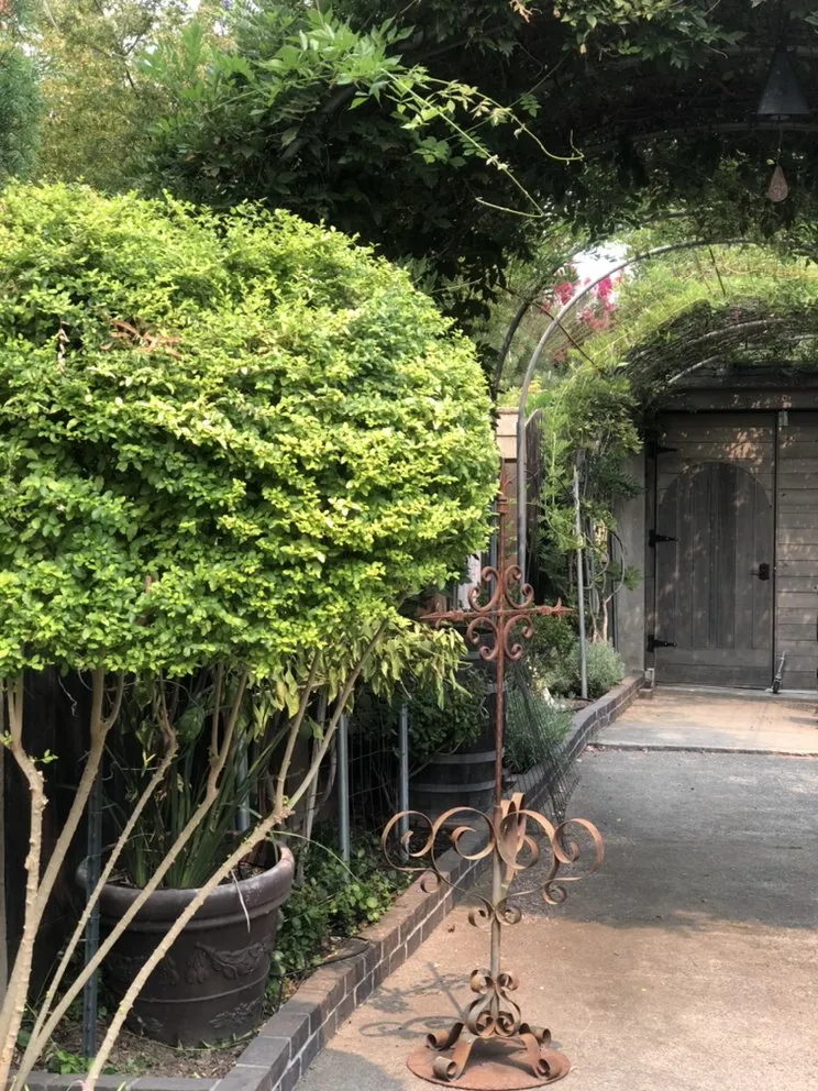 Local lawn mowing service in Sacramento, CA - Edwards Landscape Management