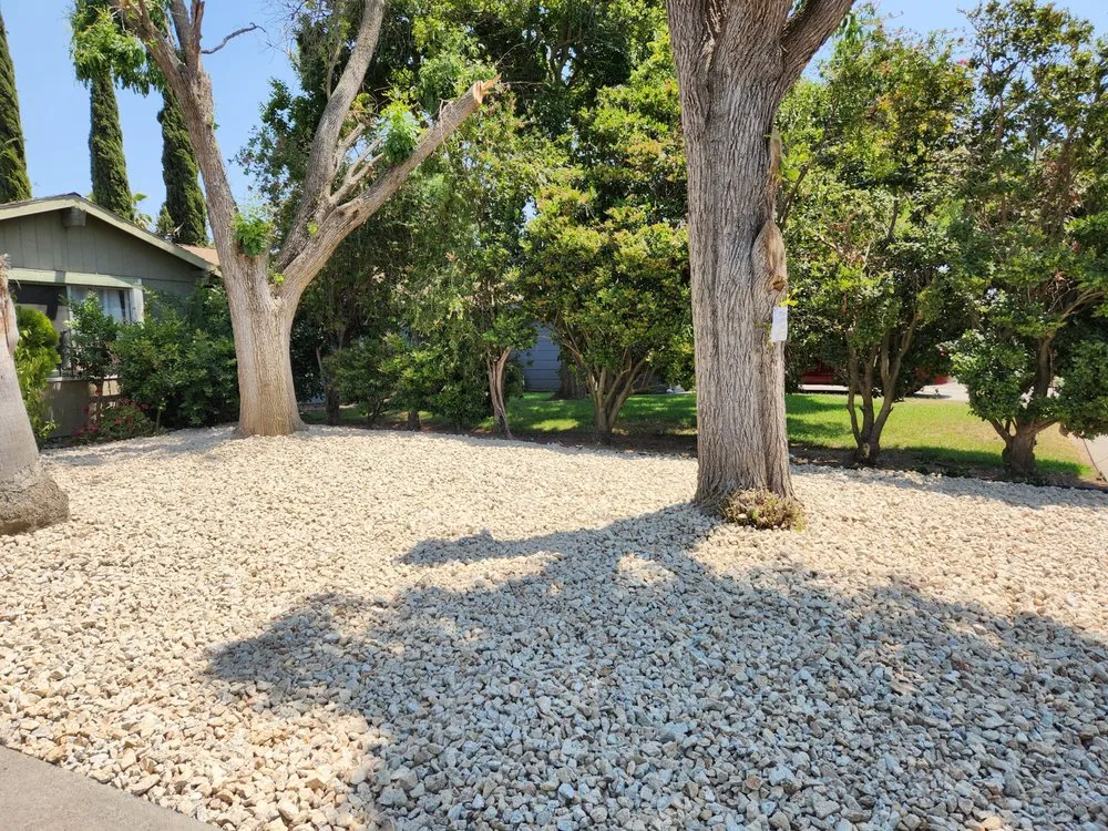 Reliable landscape installation for homes across Sacramento, CA - Edwards Landscape Management