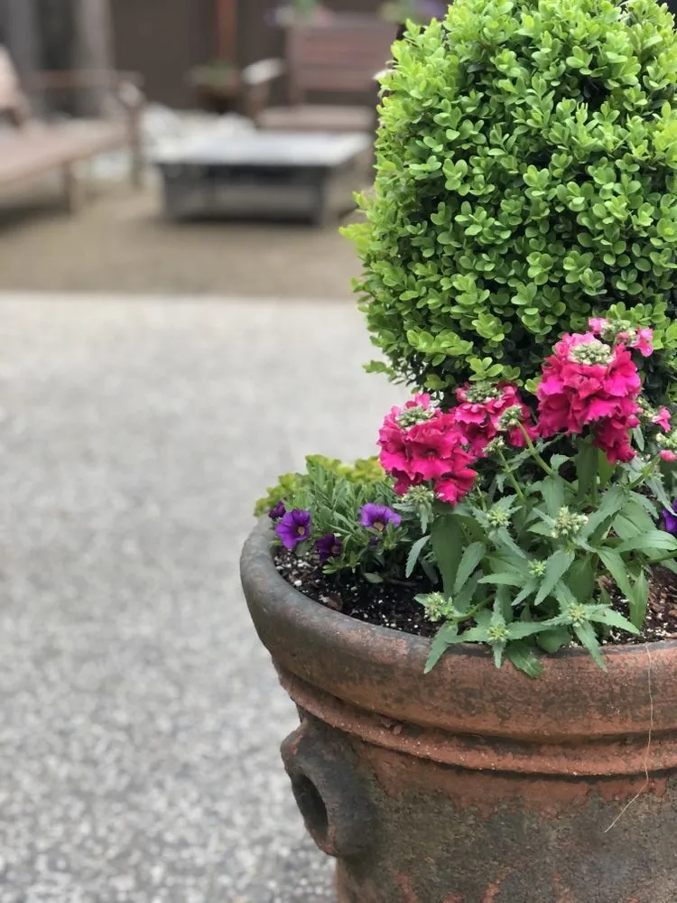 Expert landscape installation for beautiful yards across Sacramento, CA - Edwards Landscape Management