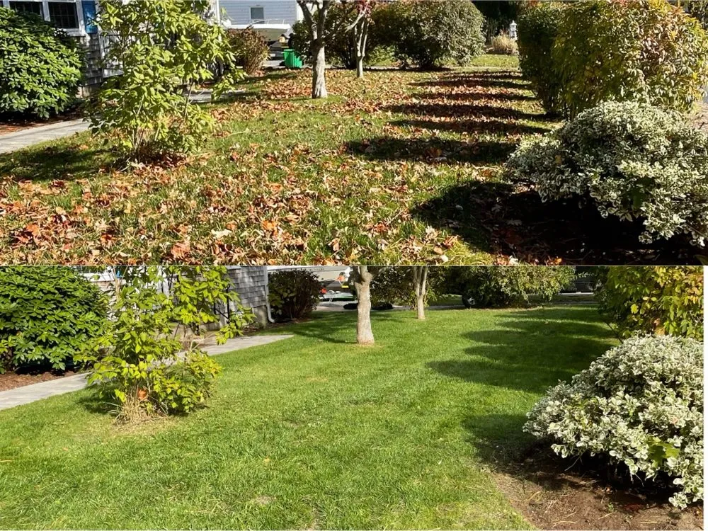 Local landscape design experts serving South Dennis, MA - Edwards Landscape