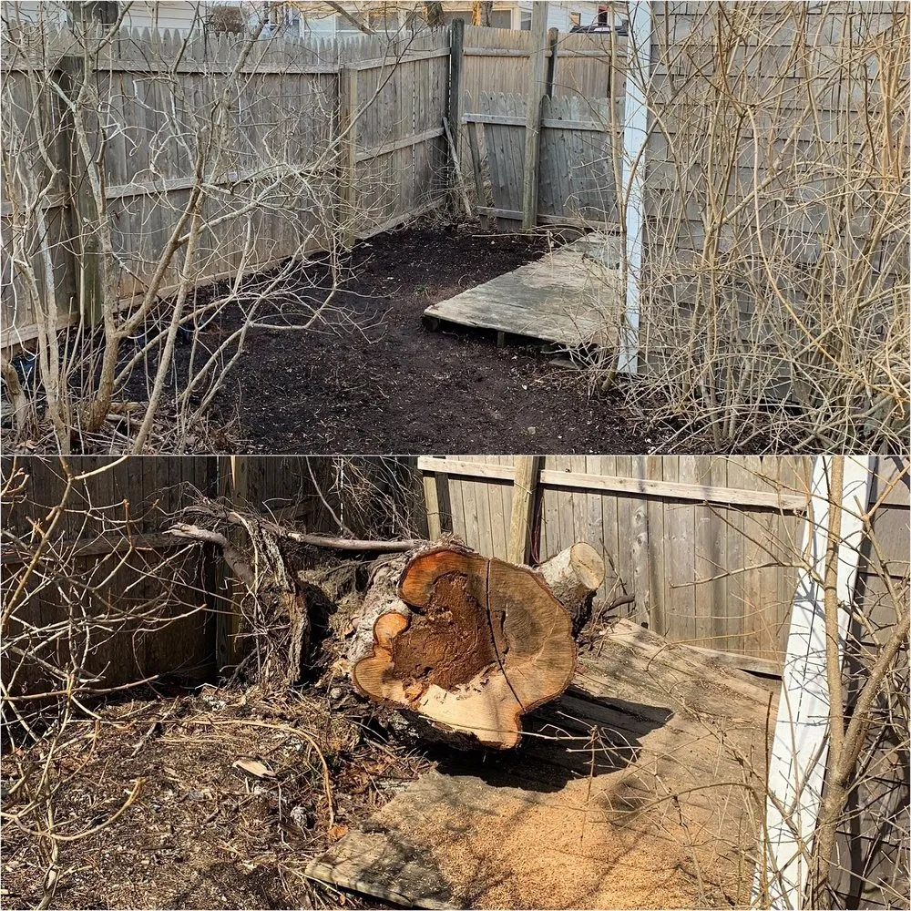 Expert yard cleanup service experts serving South Dennis, MA - Edwards Landscape