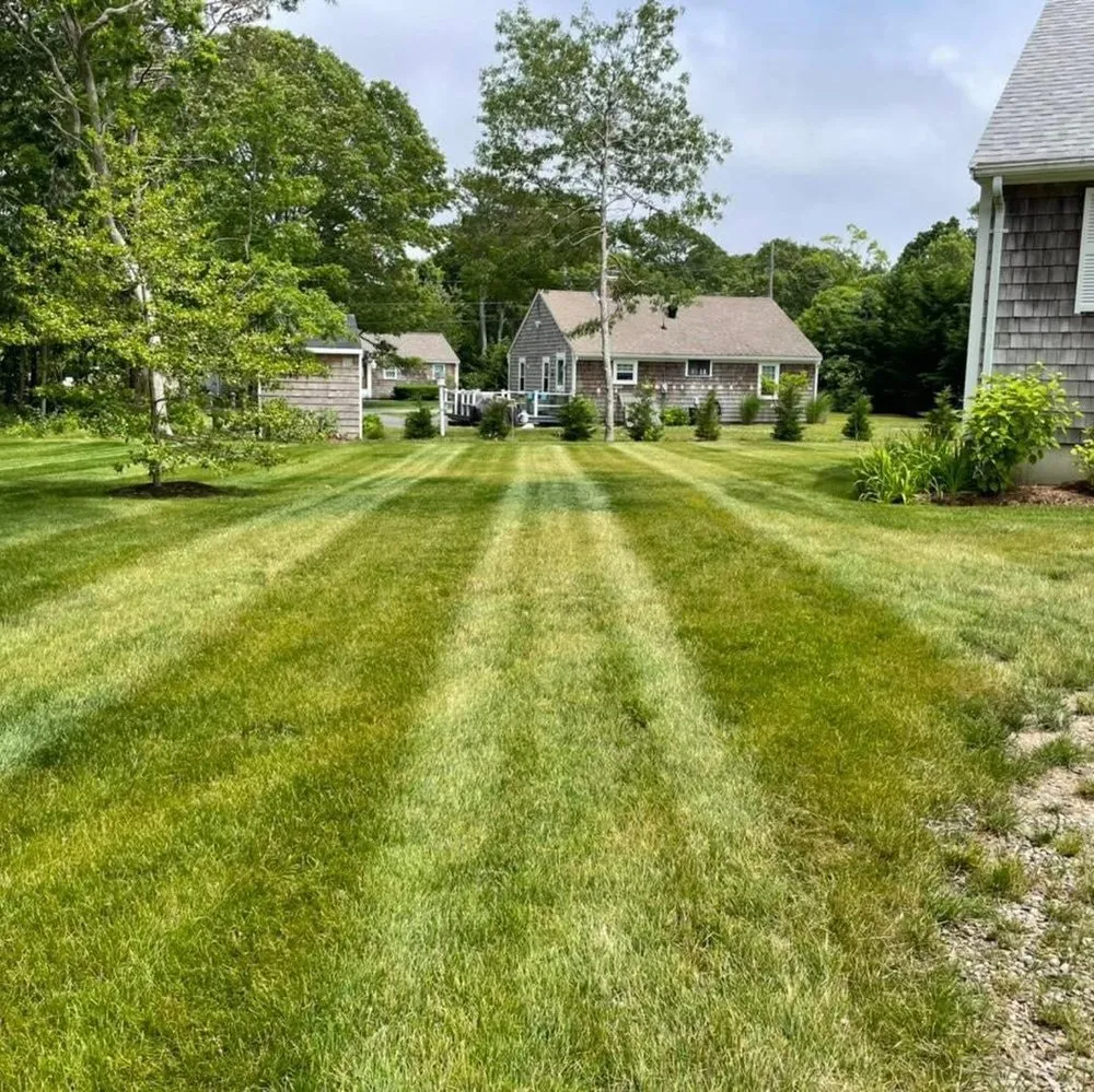 Affordable yard maintenance for homes in South Dennis, MA by Edwards Landscape