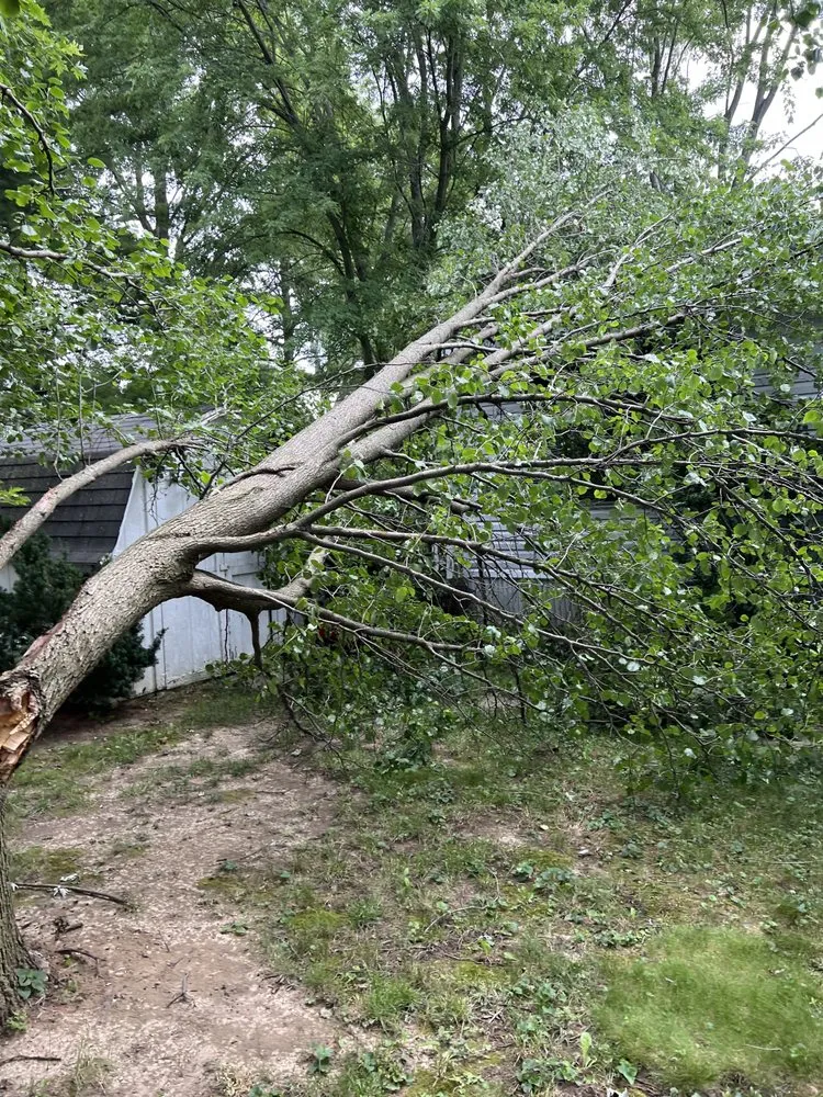 Custom outdoor landscaping experts serving Lebanon, IN - Edwards Landscaping & Lawn Care