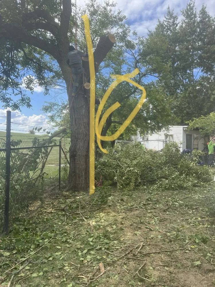 Trusted landscaping services for year-round maintenance in Lebanon, IN by Edwards Landscaping & Lawn Care