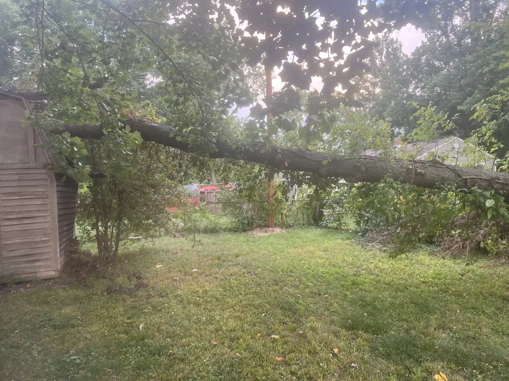 Top-rated landscape installation for beautiful yards in Lebanon, IN by Edwards Landscaping & Lawn Care