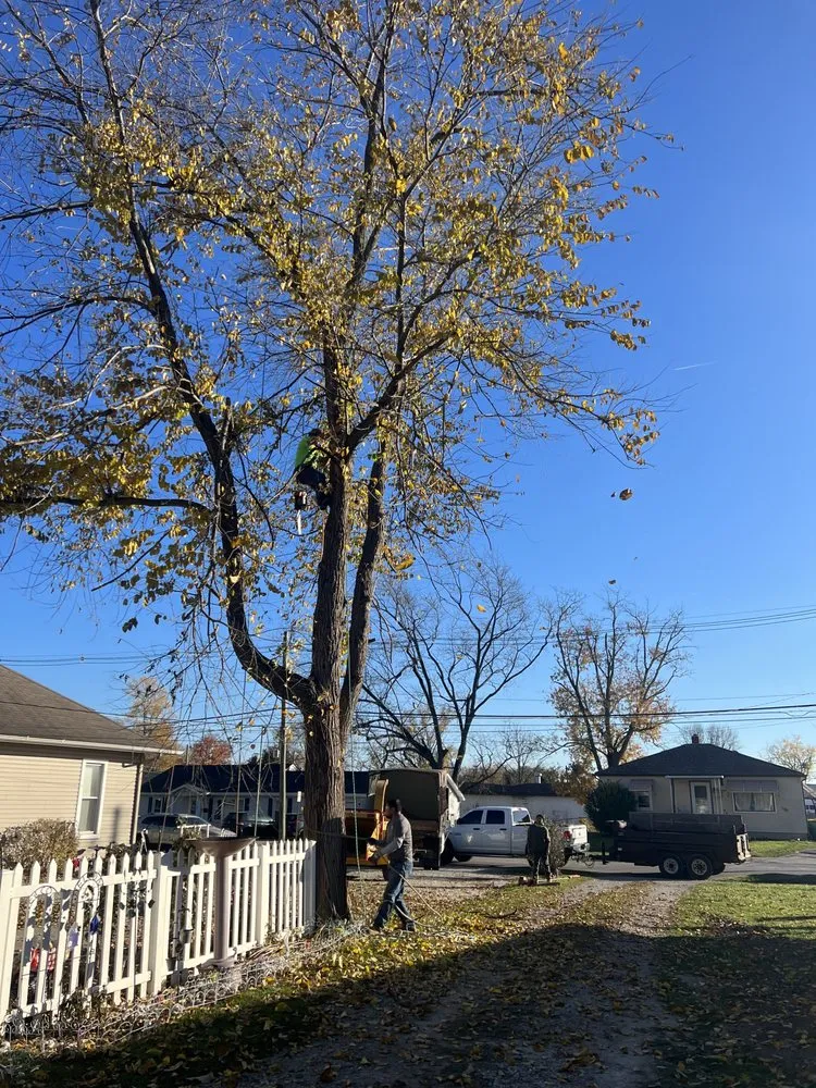 Top-rated landscape design for outdoor upgrades across Lebanon, IN - Edwards Landscaping & Lawn Care