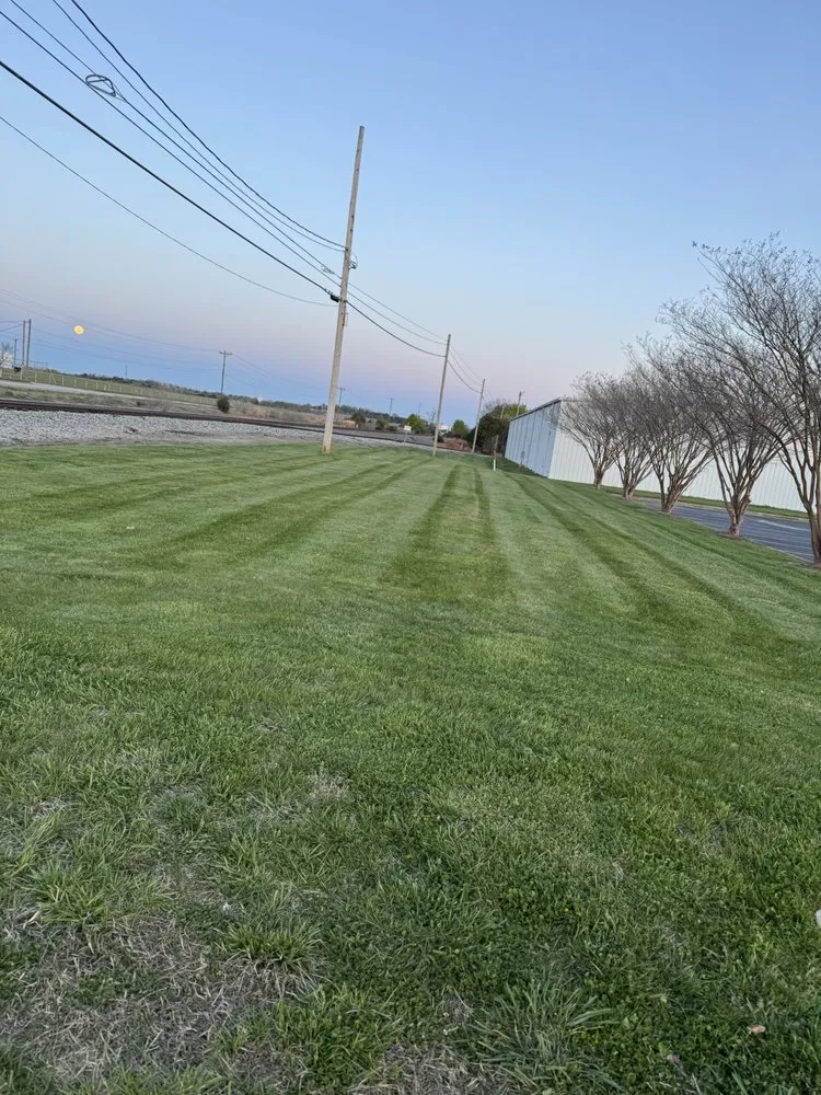 Professional outdoor landscaping with custom design across Thomasville, NC - Edwards Landscaping And More