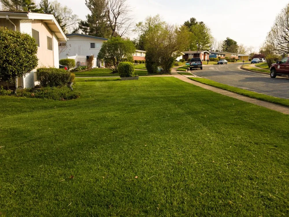 Professional landscape design with custom design across Baltimore, MD - Edwards Landscaping