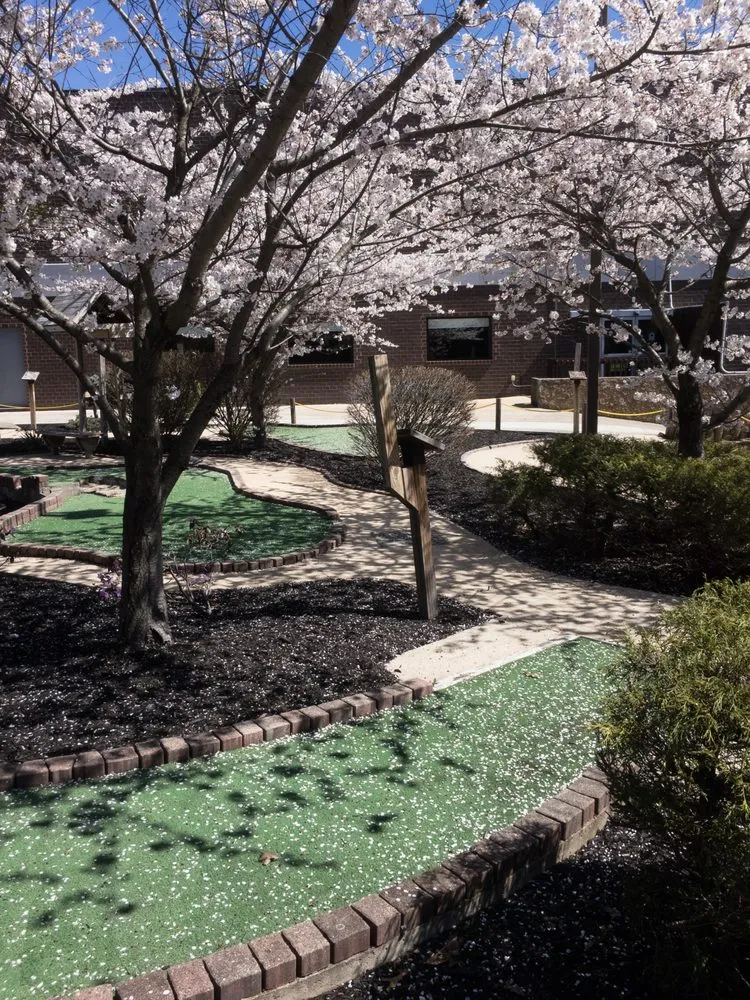 Custom yard maintenance in Baltimore, MD - Edwards Landscaping