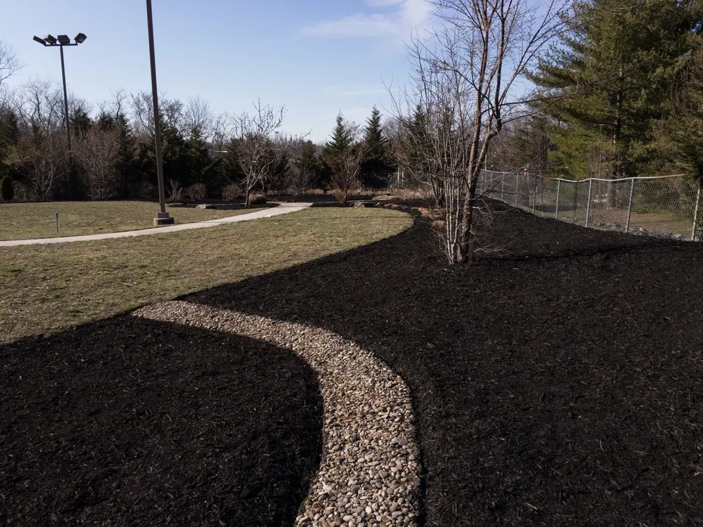 Expert yard cleanup service in Baltimore, MD - Edwards Landscaping