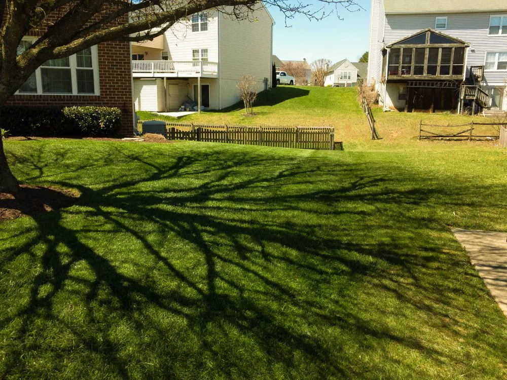 Professional residential landscaping for outdoor upgrades across Baltimore, MD - Edwards Landscaping