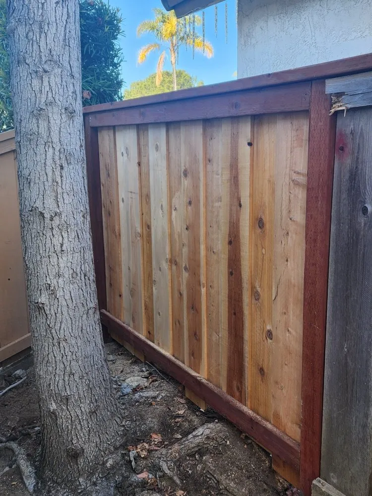 Affordable lawn care service in Escondido, CA by Edward’s Landscaping