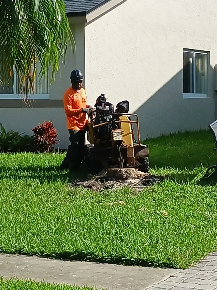 Professional landscape design in Hallandale Beach, FL - Edwards Landscaping