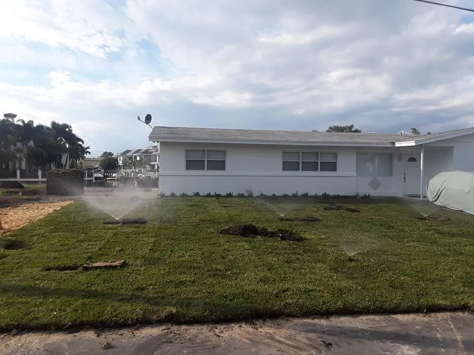 Top-rated lawn mowing service in Hallandale Beach, FL by Edwards landscaping