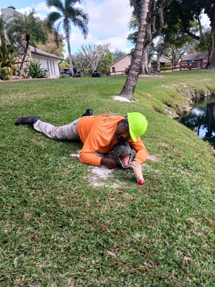 Reliable landscape installation for year-round maintenance in Hallandale Beach, FL by Edwards landscaping