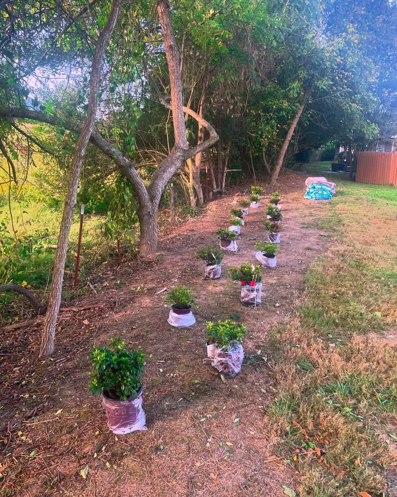 Trusted landscape installation in Blountville, TN - Edwards Lawn and Landscaping