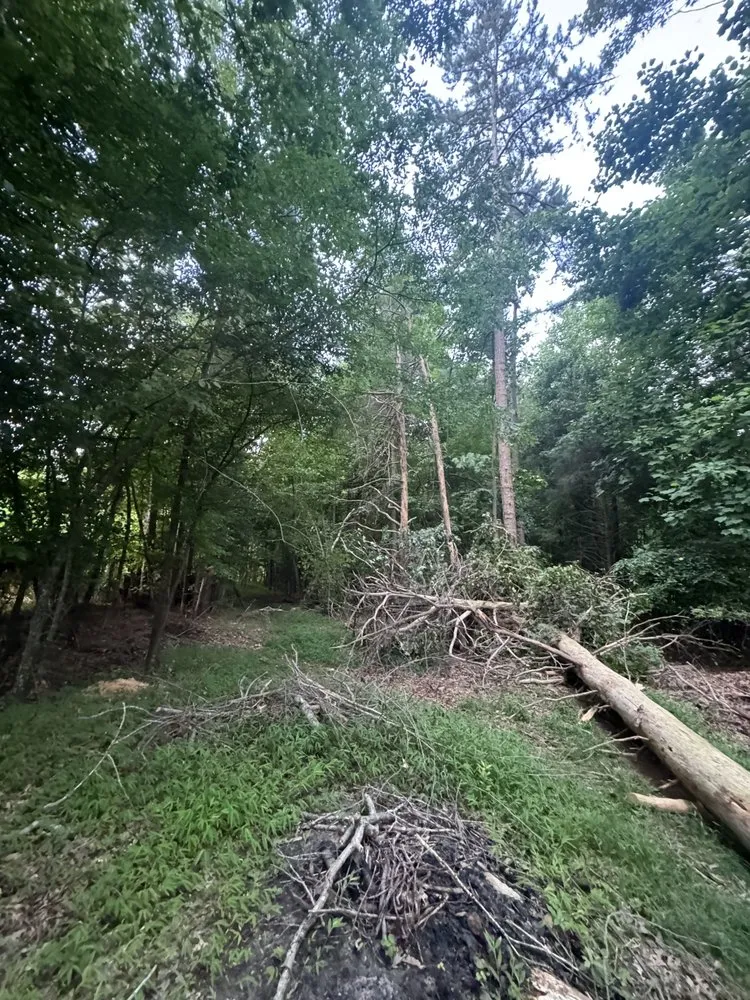 Affordable yard maintenance with custom design across Roxboro, NC - Edwards Lawn Care and Bushhogging