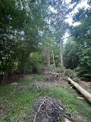 Edwards Lawn Care and Bushhogging