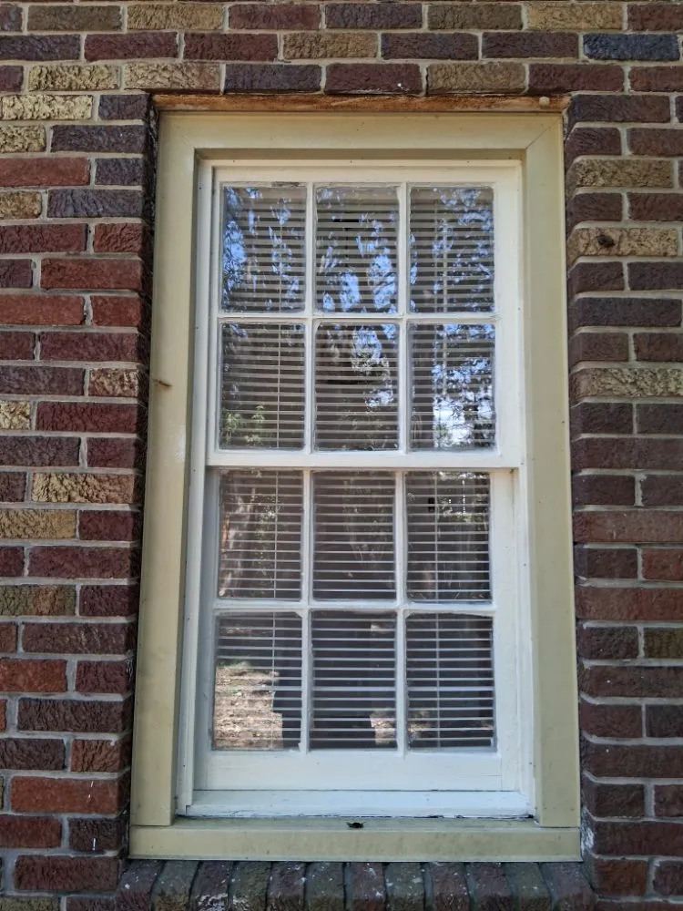 Affordable yard maintenance in gilbertsville, KY - Edwards Lawn Care And Handyman Services