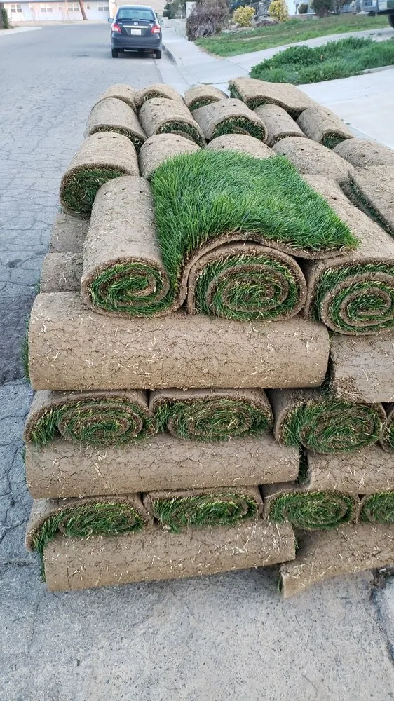 Affordable yard cleanup service for year-round maintenance in Avenal, CA by Edward’s Lawn Care