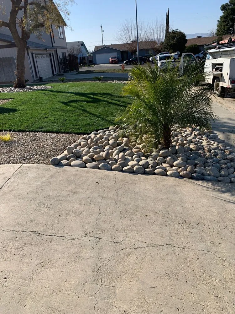 Local yard cleanup service in Avenal, CA - Edward’s Lawn Care