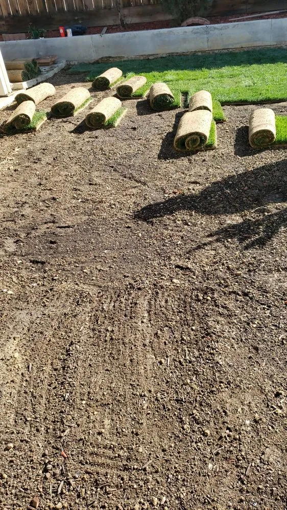 Professional landscape installation in Avenal, CA - Edward’s Lawn Care