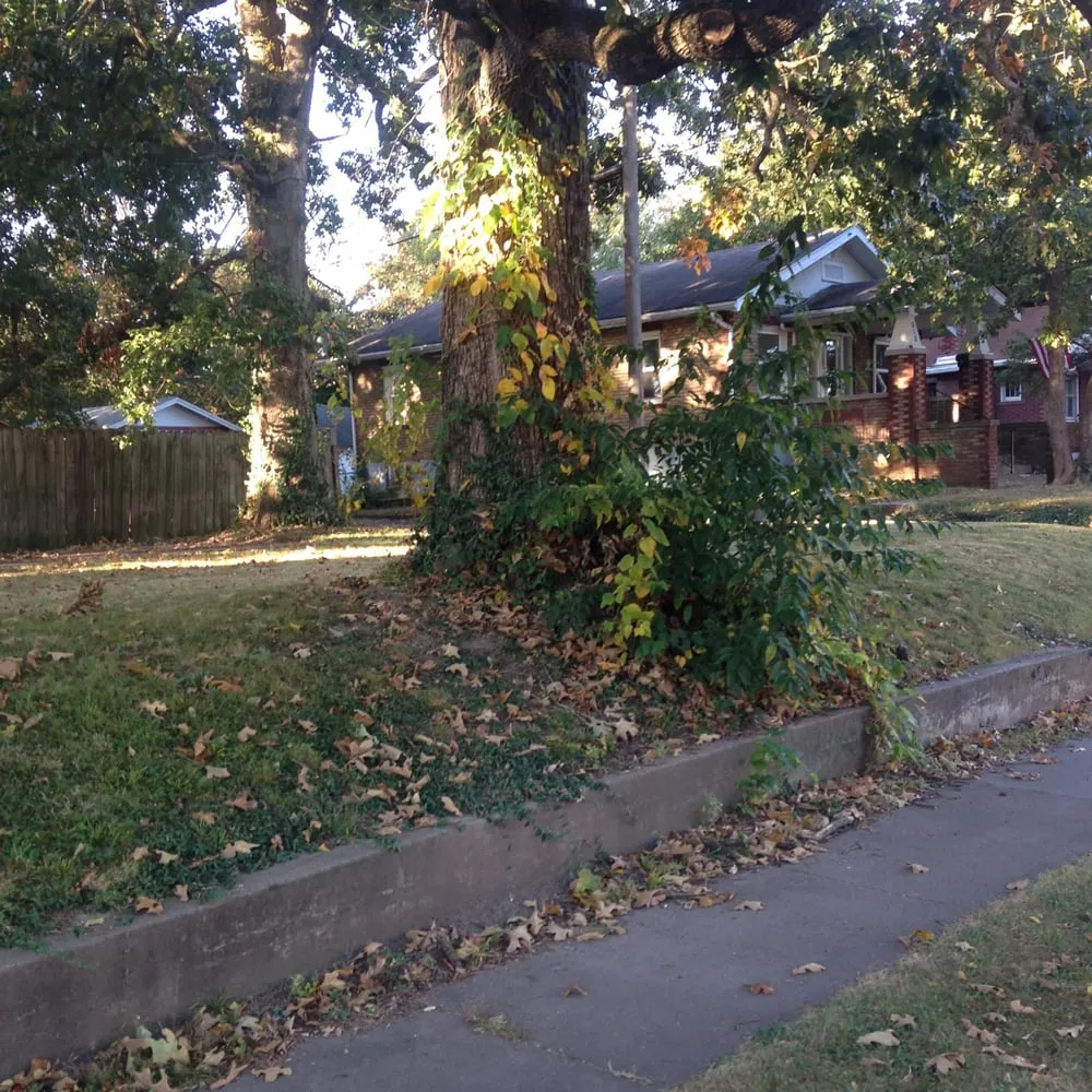 Top-rated lawn mowing service in Strafford, MO by Edwards Lawn Service