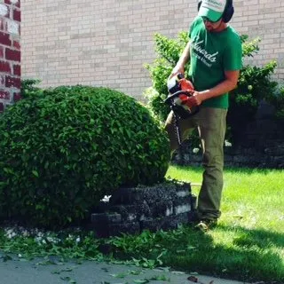 Expert lawn care service experts serving Strafford, MO - Edwards Lawn Service