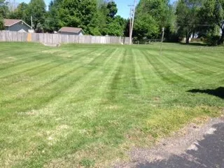 Expert garden landscaping for year-round maintenance across Strafford, MO - Edwards Lawn Service