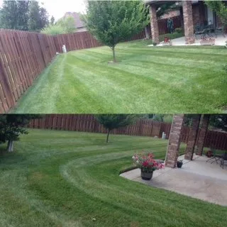 Custom lawn care service for beautiful yards across Strafford, MO - Edwards Lawn Service