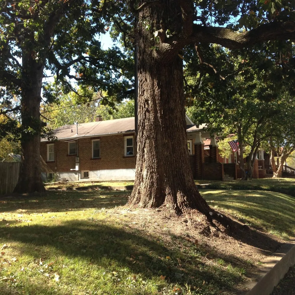 Expert lawn care service in Strafford, MO - Edwards Lawn Service