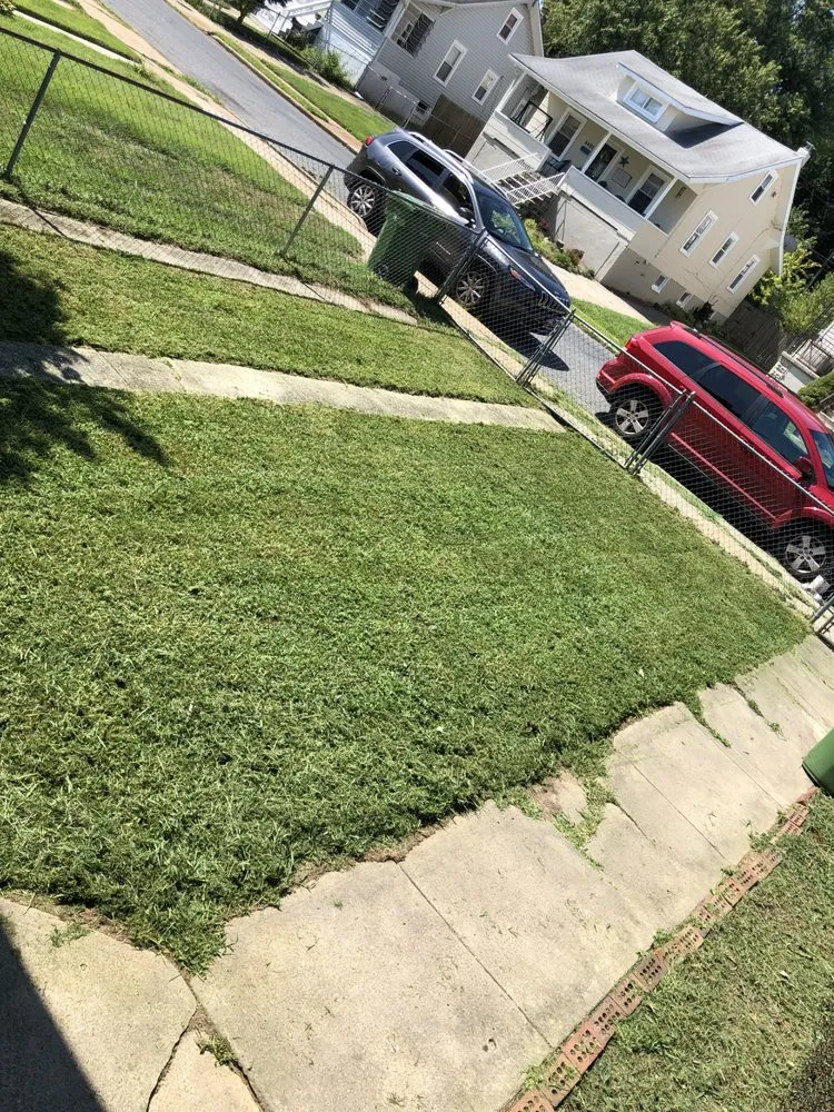 Top-rated landscaping services in Baltimore, MD by Edwards Lawn Services