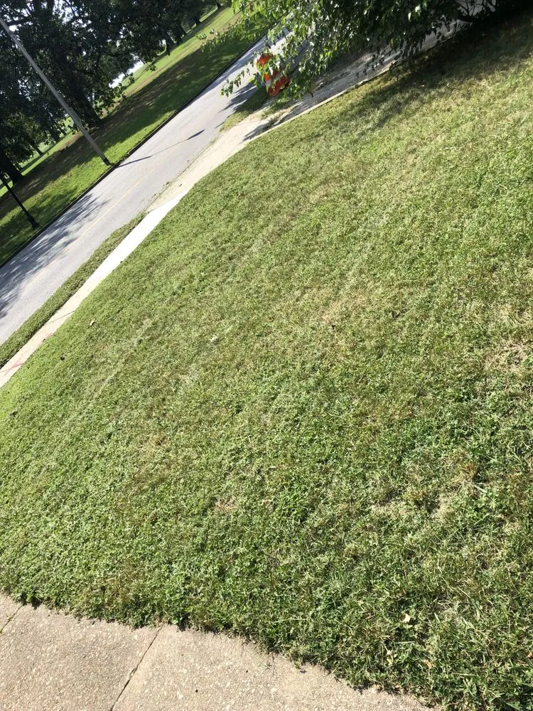 Local lawn mowing service experts serving Baltimore, MD - Edwards Lawn Services