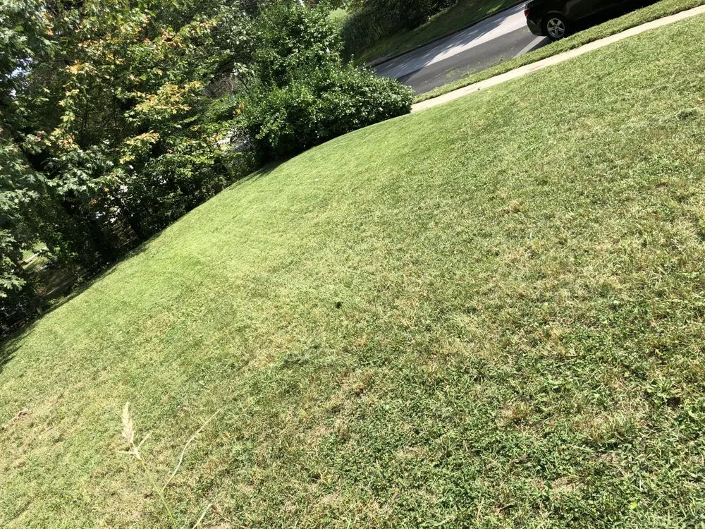 Custom garden landscaping for residential properties across Baltimore, MD - Edwards Lawn Services