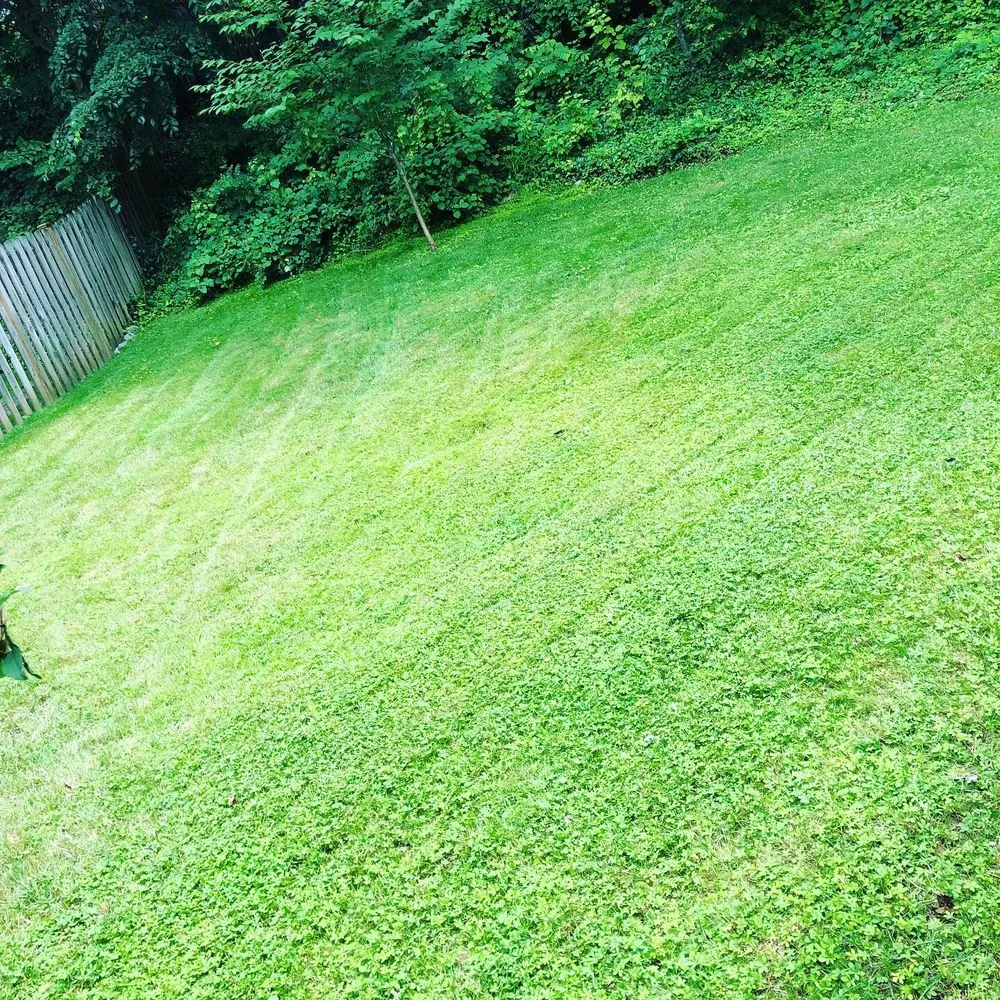 Reliable residential landscaping experts serving Baltimore, MD - Edwards Lawn Services