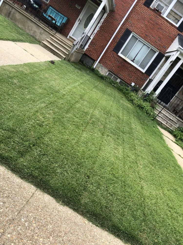 Top-rated landscape design for outdoor upgrades across Baltimore, MD - Edwards Lawn Services