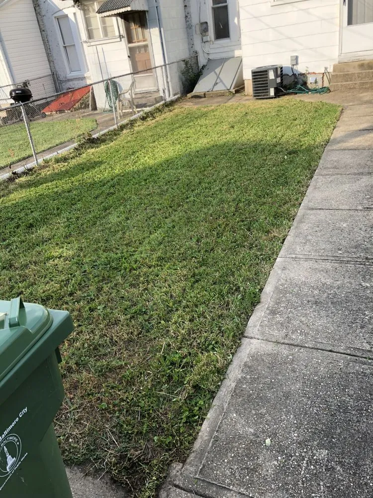 Top-rated landscape installation experts serving Baltimore, MD - Edwards Lawn Services