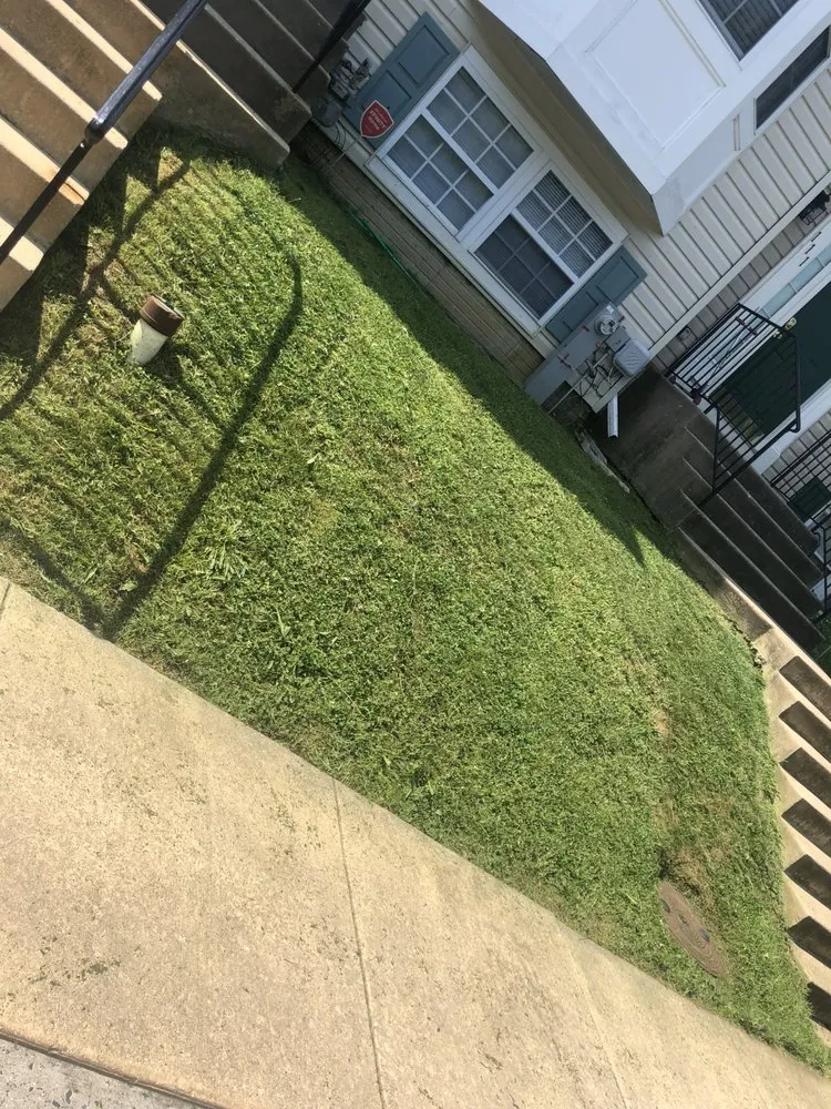 Expert yard cleanup service in Baltimore, MD by Edwards Lawn Services