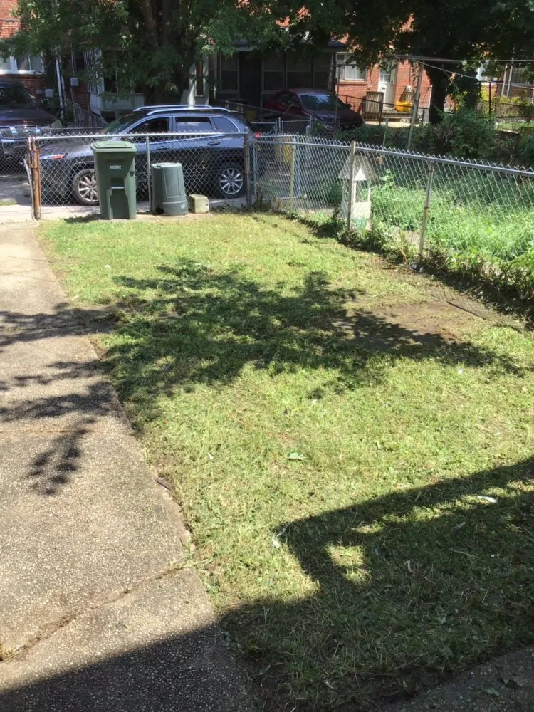 Local yard maintenance for year-round maintenance across Baltimore, MD - Edwards Lawn Services
