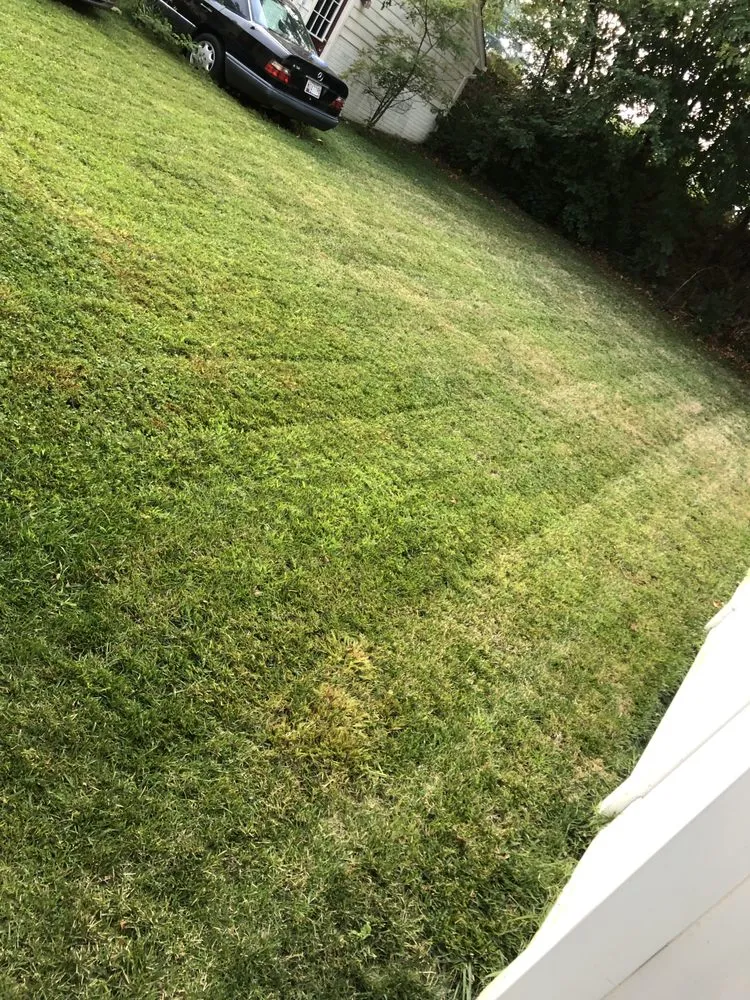 Professional landscaping services near you in Baltimore, MD by Edwards Lawn Services