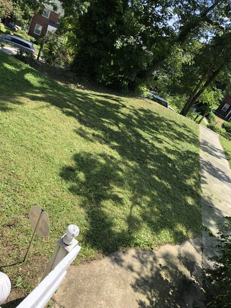 Affordable lawn care service in Baltimore, MD - Edwards Lawn Services